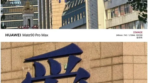 王者荣耀激战，葡京娱乐城官网，正酣，新战队挑战巅峰